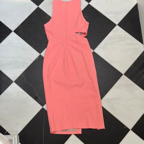 Elizabeth and James Coral Bodycon Dress - Picture 6 of 6